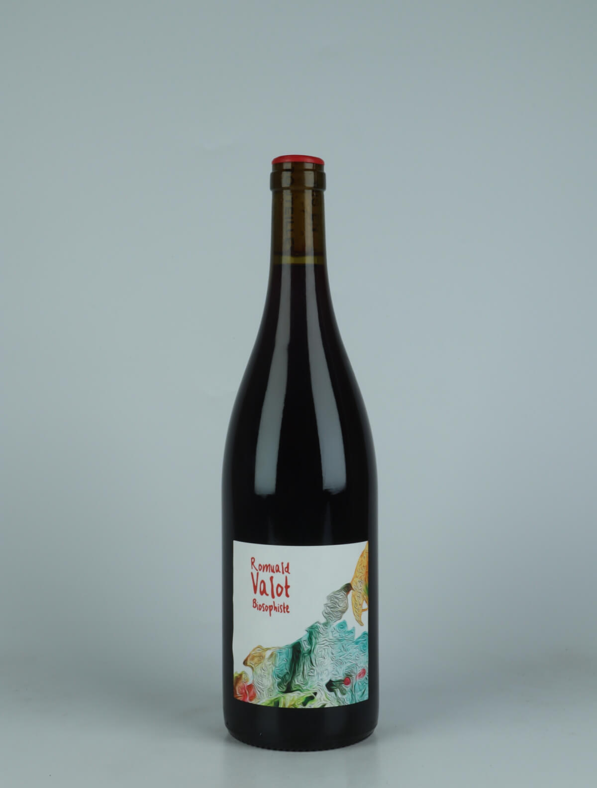 A bottle 2023 Brouilly Red wine from Romuald Valot, Beaujolais in France