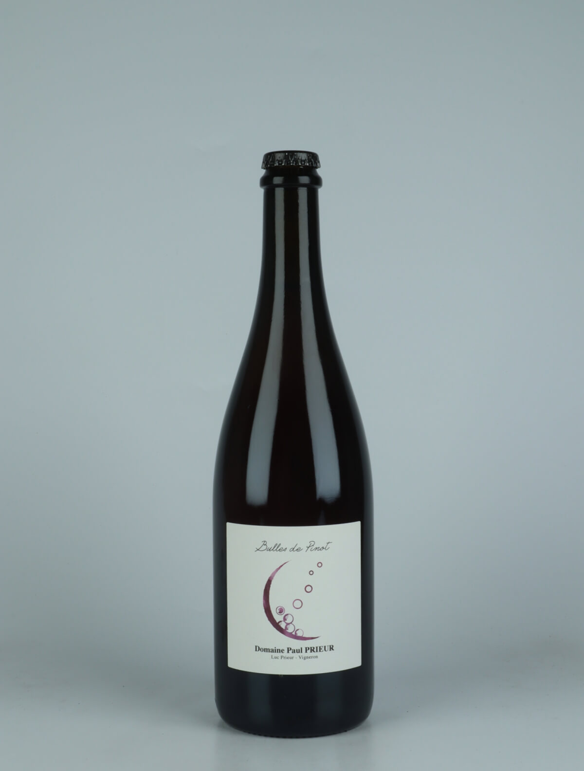 A bottle 2023 Bulles de Pinot Sparkling from Paul Prieur et Fils, Loire in France