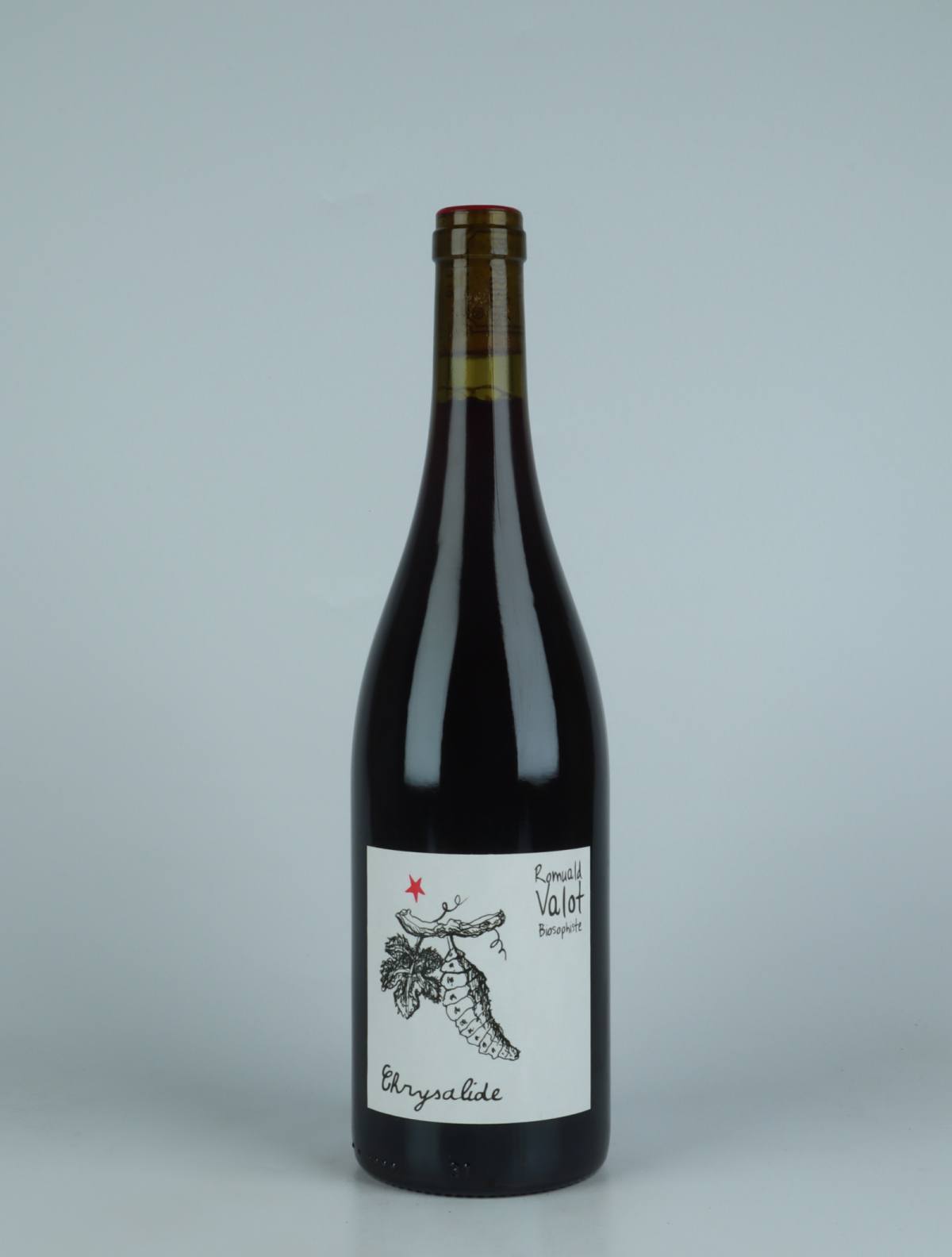 En flaske 2023 Chrysalide Rødvin fra Romuald Valot, Beaujolais i Frankrig