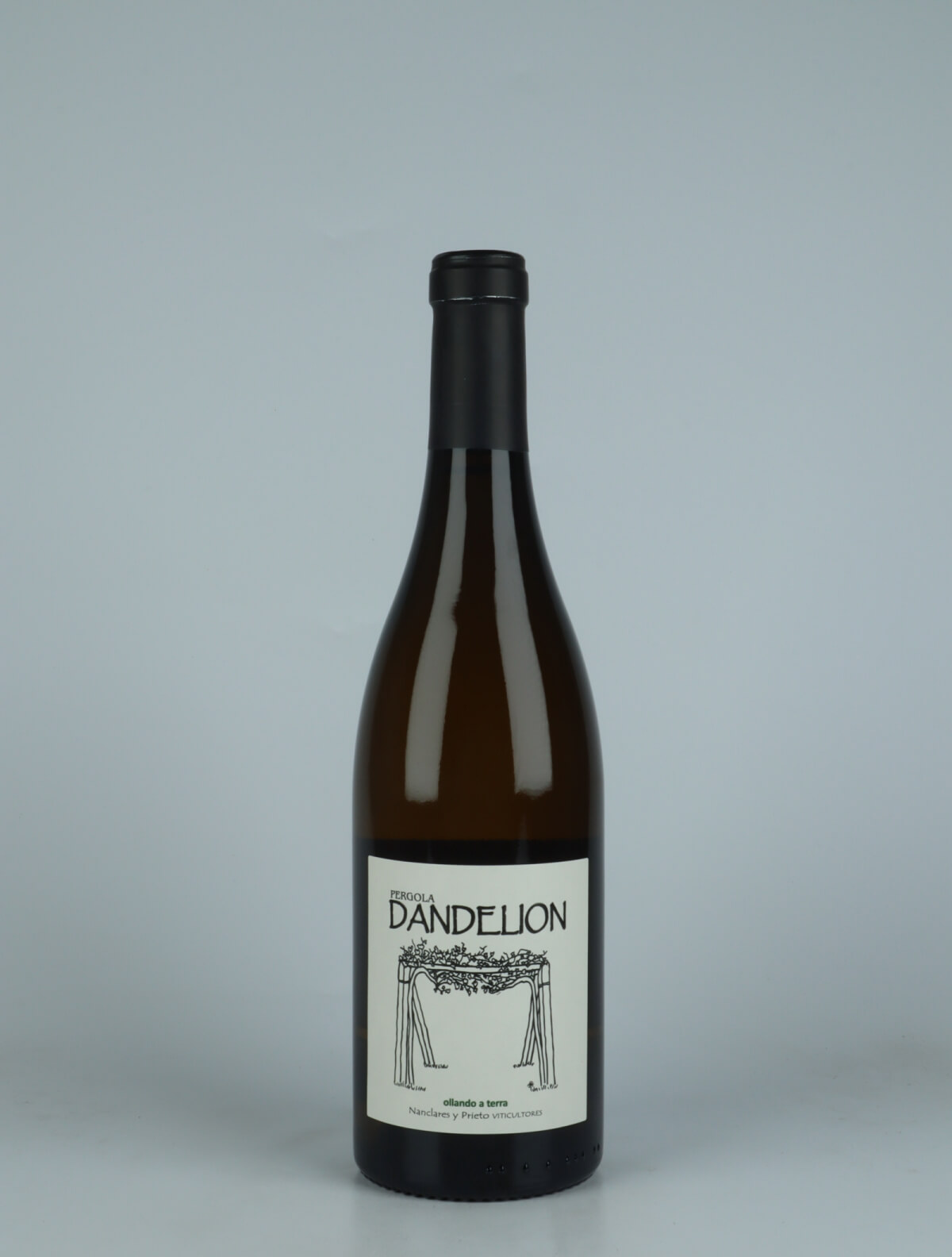 A bottle 2023 Dandelion White wine from Alberto Nanclares, Rias Baixas in Spain