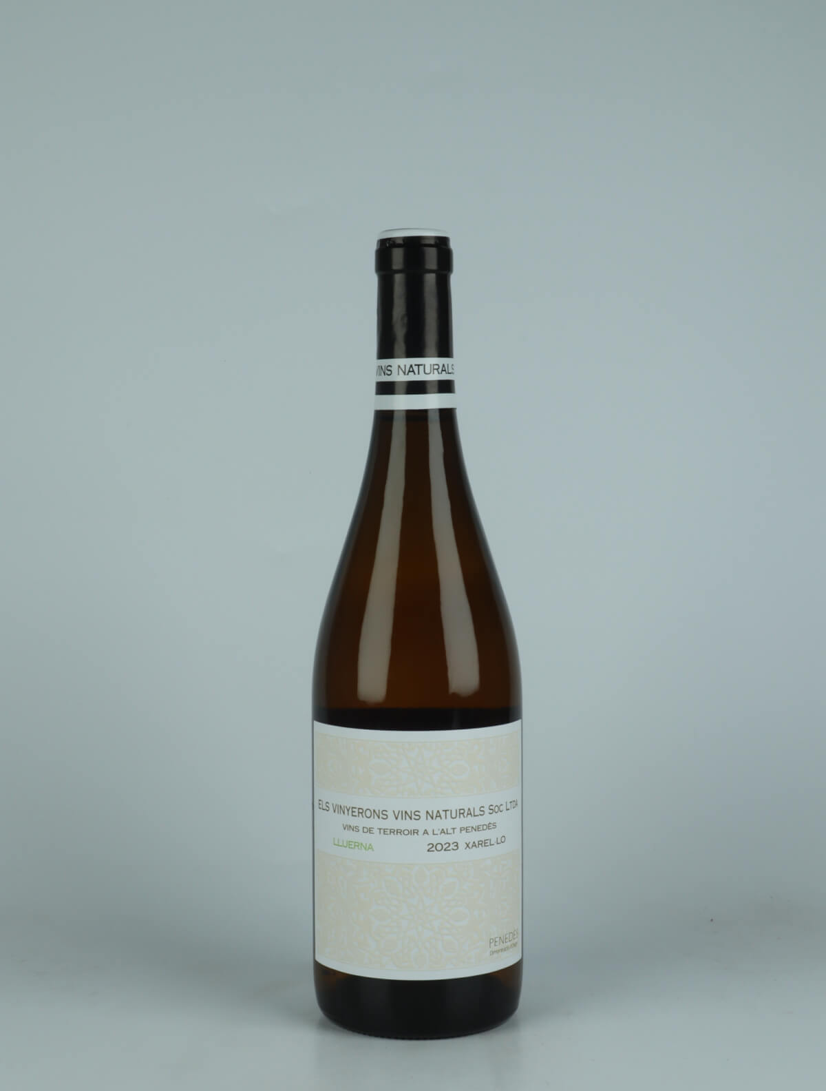 A bottle 2023 Lluerna White wine from Els Vinyerons, Penedès in Spain