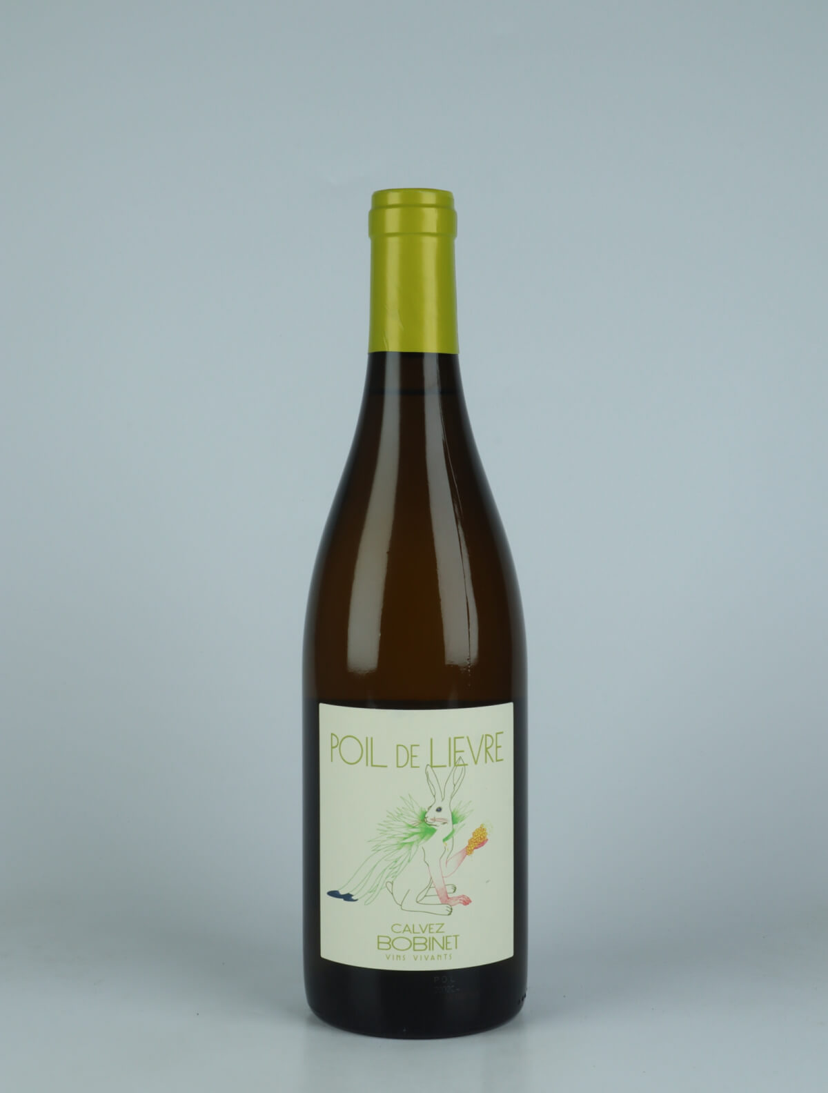 A bottle 2023 Poil de Lièvre White wine from Domaine Bobinet, Loire in France