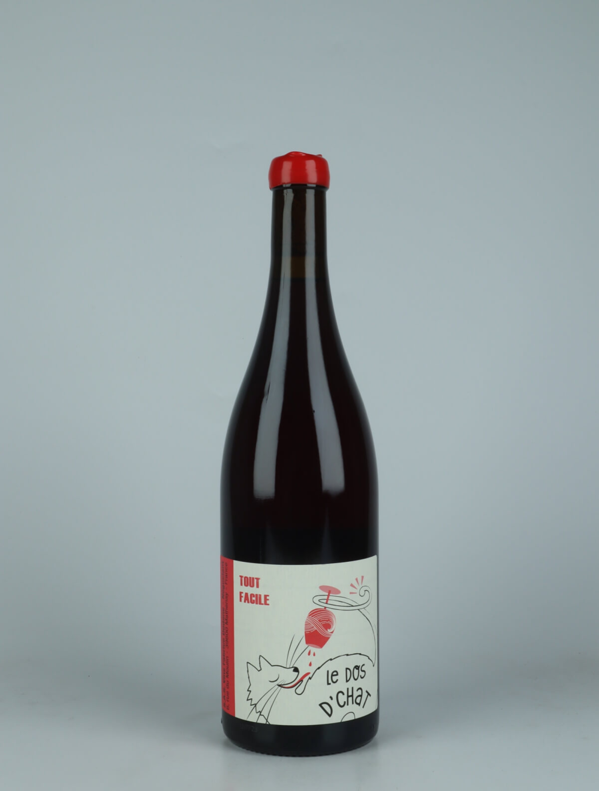 A bottle 2023 Tout Facile Red wine from Fabrice Dodane, Jura in France