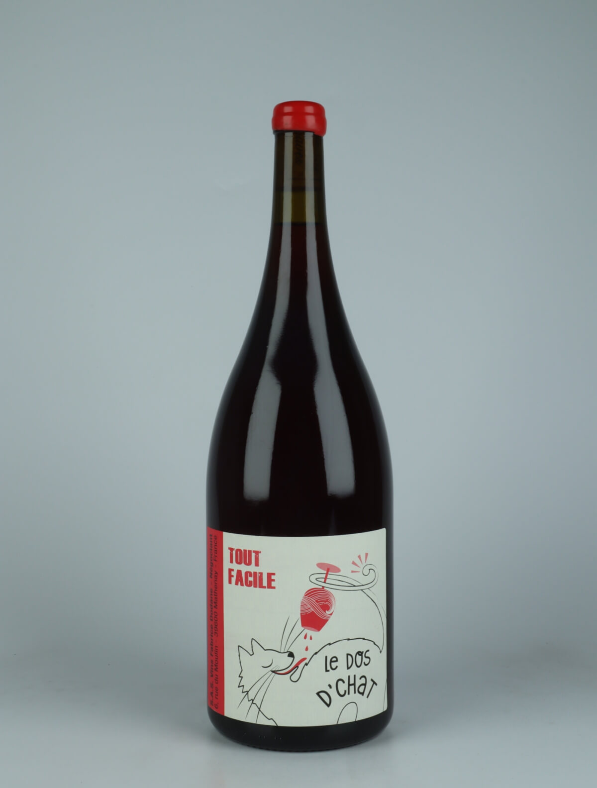 A bottle 2023 Tout Facile - Magnum Red wine from Fabrice Dodane, Jura in France