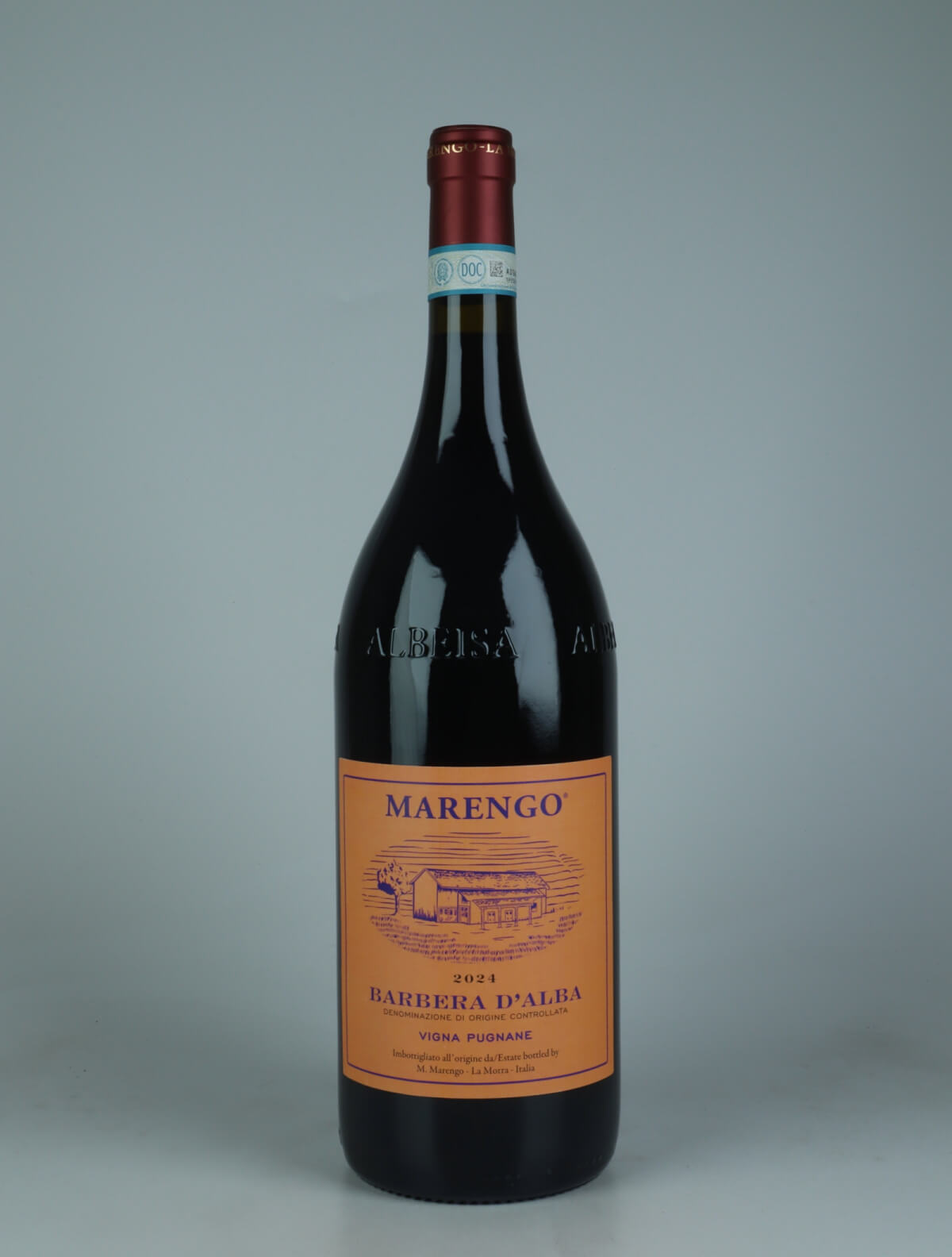 A bottle 2024 Barbera d'Alba - Pugnane - Magnum Red wine from Mario Marengo, Piedmont in Italy