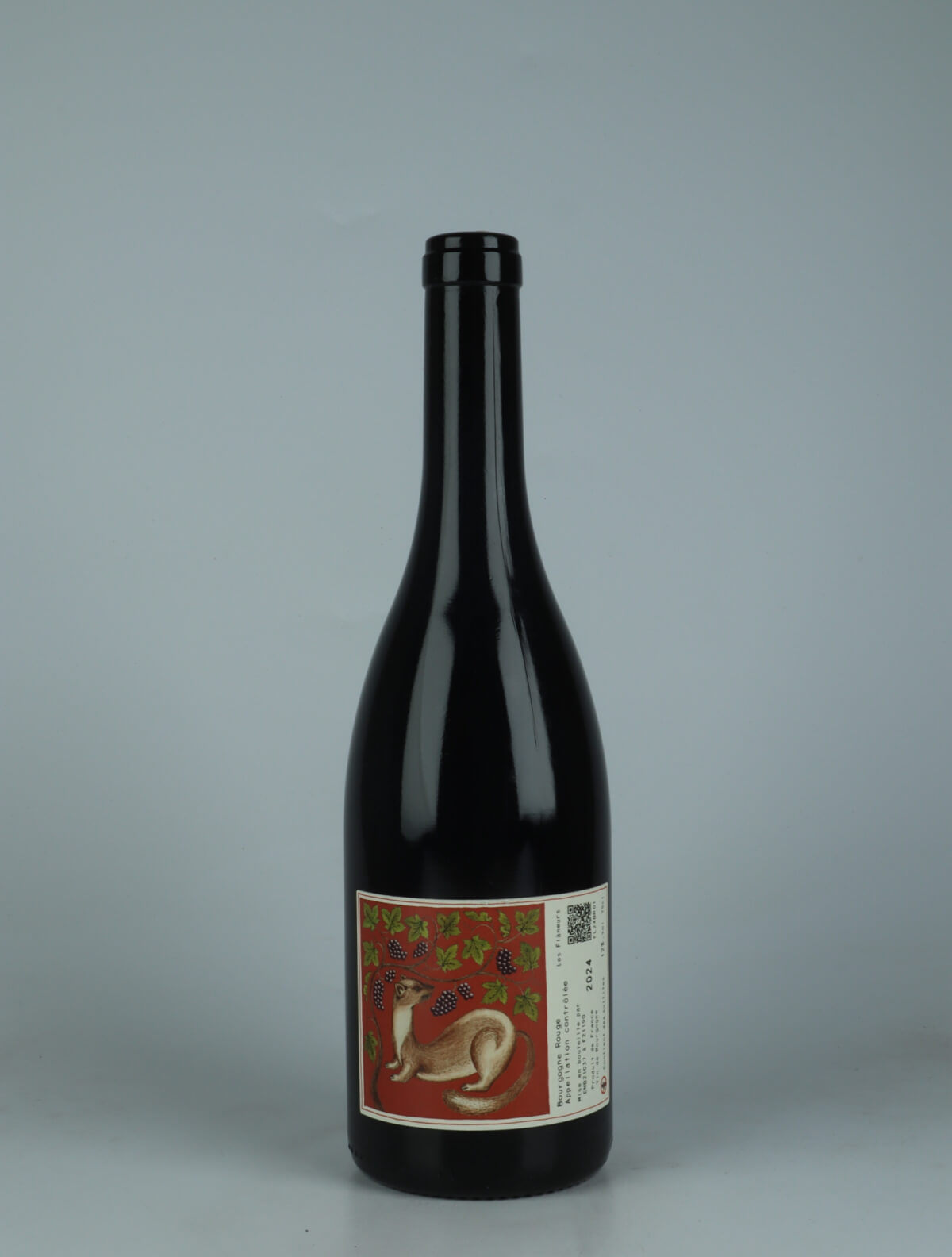 A bottle 2024 Bourgogne Rouge Red wine from Les Flaneurs, Burgundy in France