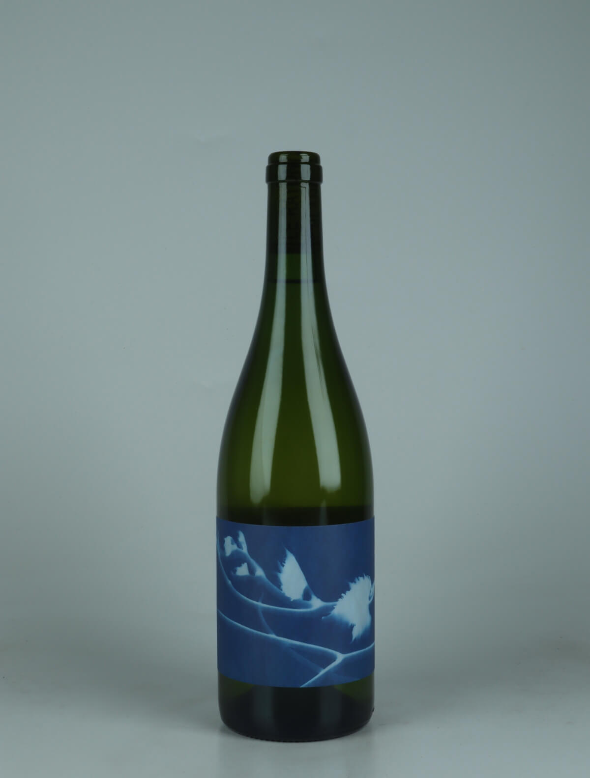 A bottle 2024 Les Vrilles White wine from Thomas Puéchavy, Loire in France