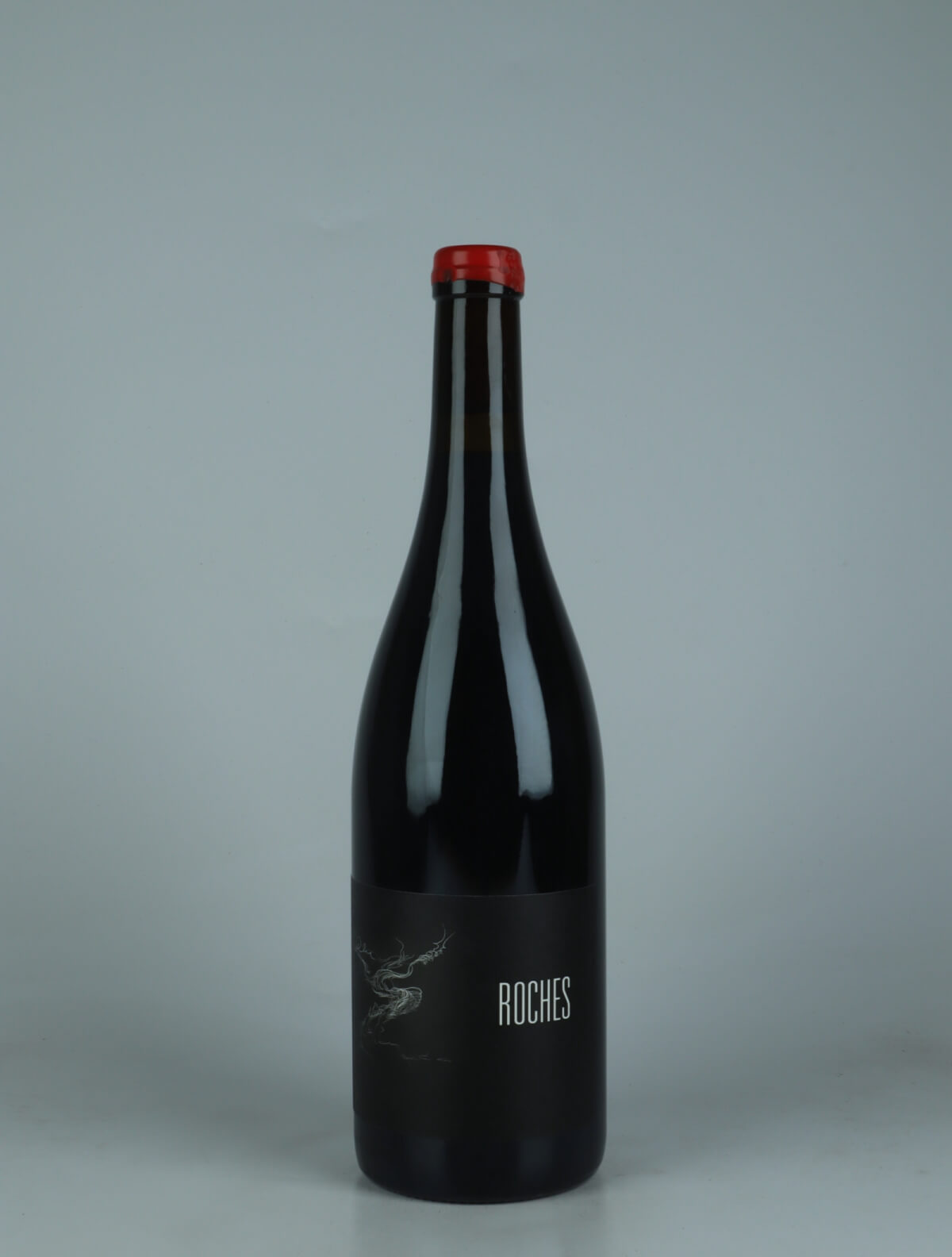 A bottle 2024 Mâcon Gamay - Les Roches Red wine from Arnaud Lopez, Burgundy in France