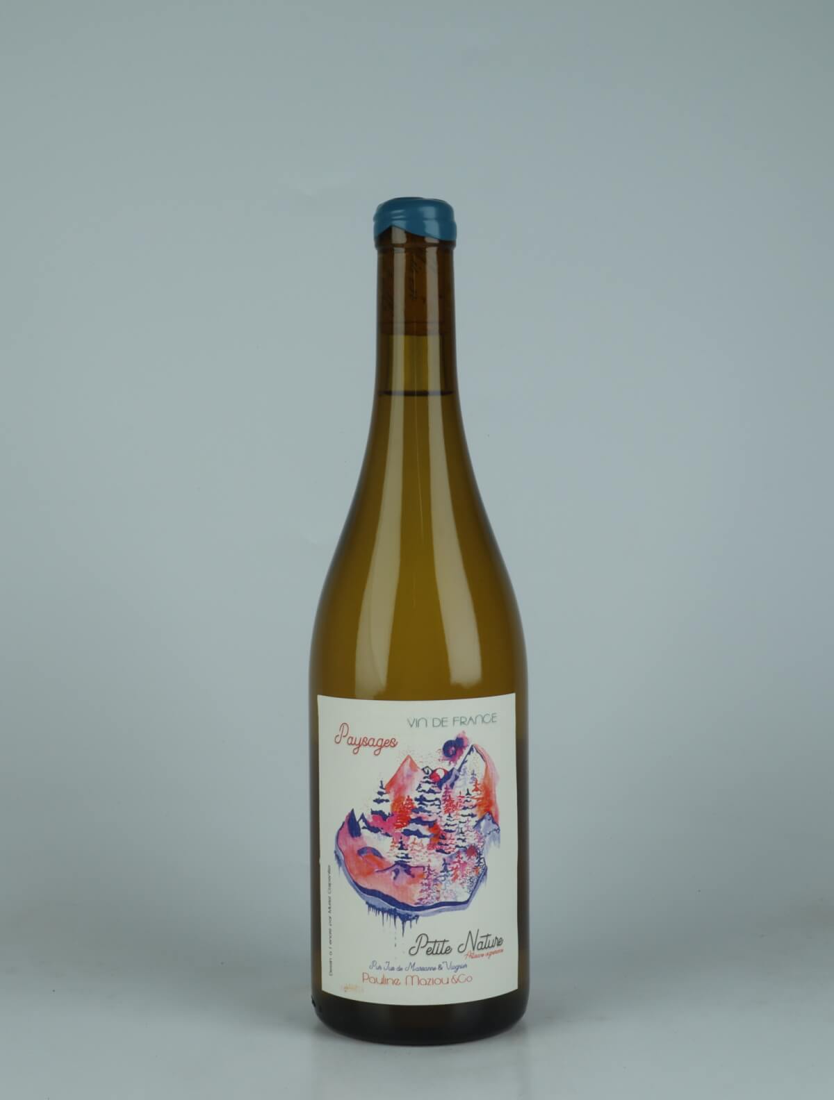 A bottle 2024 Paysages White wine from Petite Nature, Ardèche in France