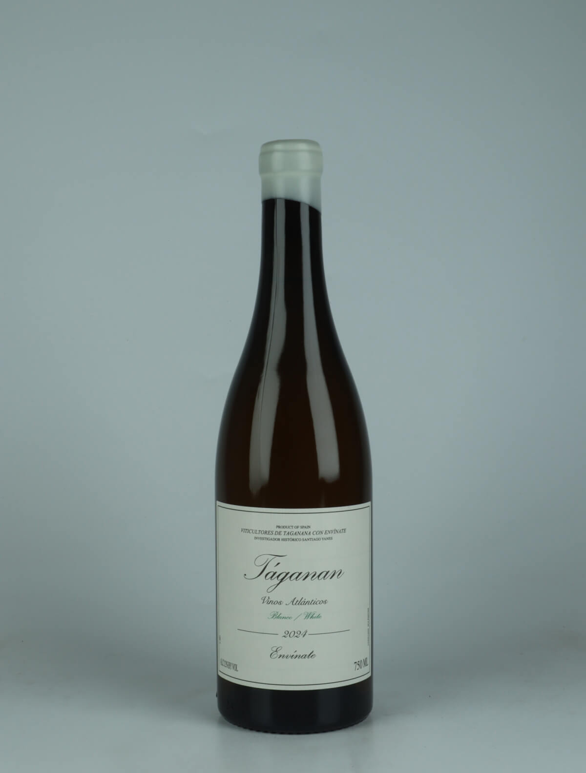 A bottle 2024 Taganan Blanco - Tenerife White wine from Envínate, Tenerife in Spain