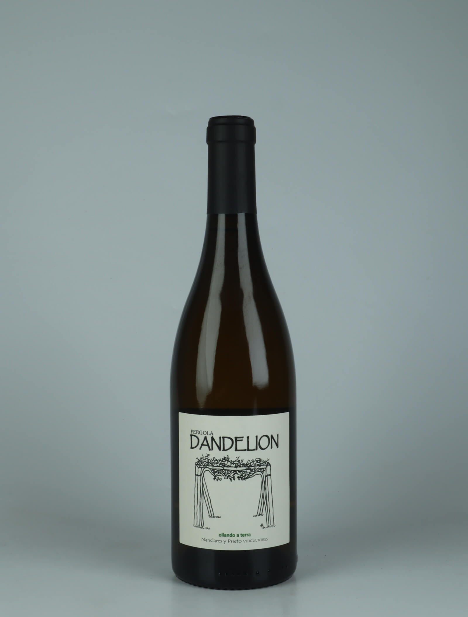 A bottle 2025 Dandelion White wine from Alberto Nanclares, Rias Baixas in Spain