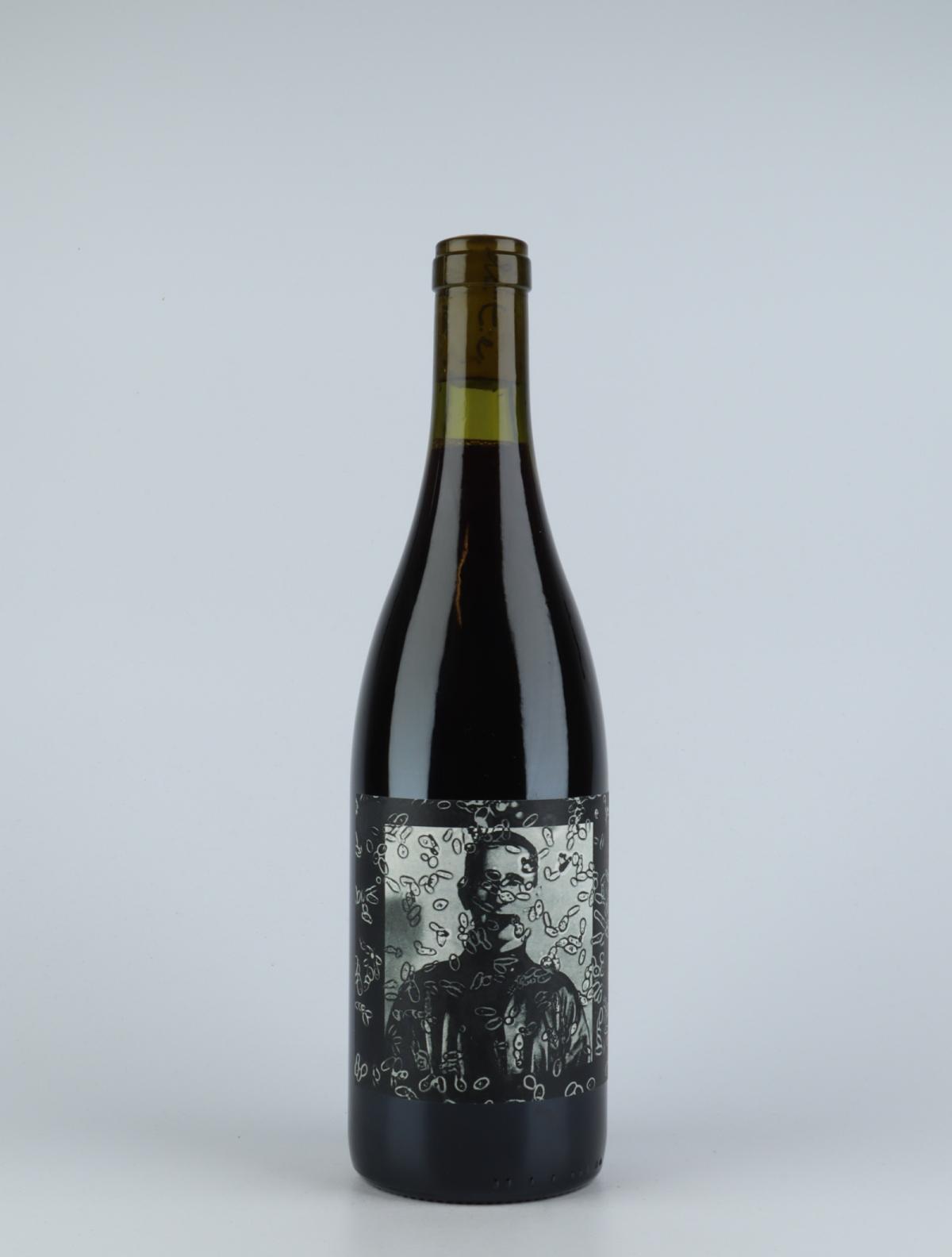 En flaske 2016 Bertolt Rødvin fra do.t.e Vini, Toscana i Italien