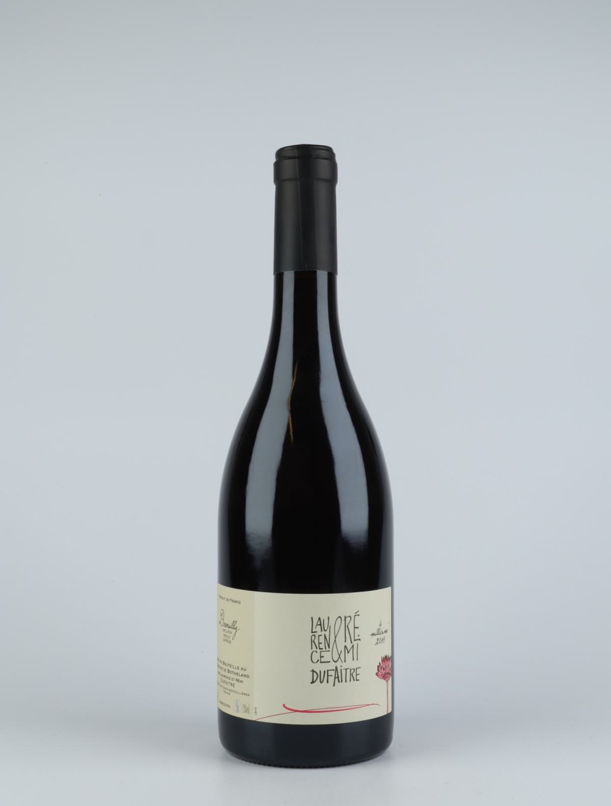 En flaske 2019 Brouilly Rødvin fra Laurence & Rémi Dufaitre, Beaujolais i Frankrig