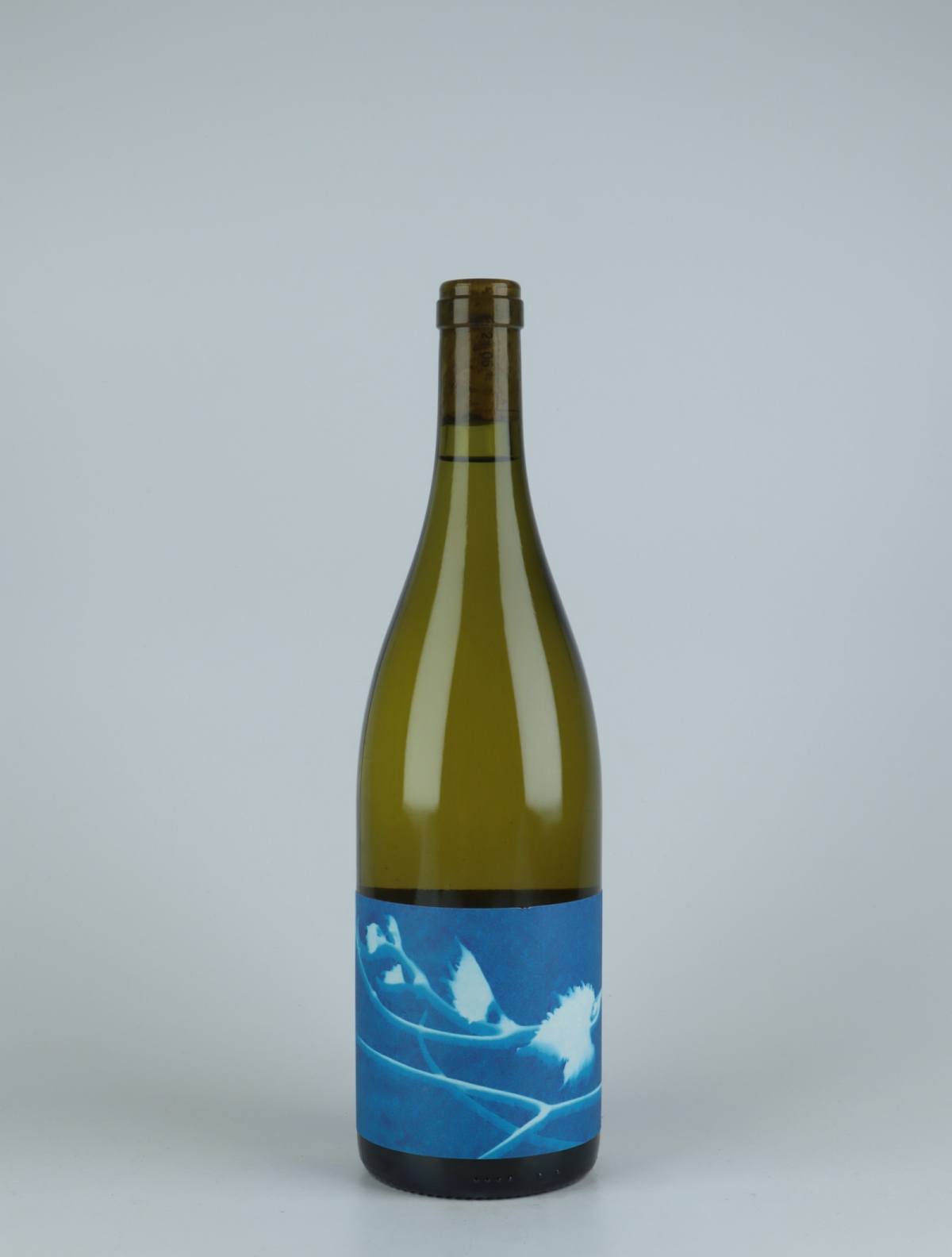 En flaske 2019 Le Rayon Blanc Hvidvin fra Thomas Puéchavy, Loire i Frankrig