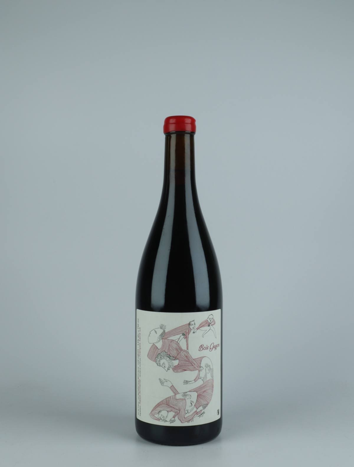 A bottle 2015 Bois Guyon Rødvin from François Saint-Lô, Loire in Frankrig