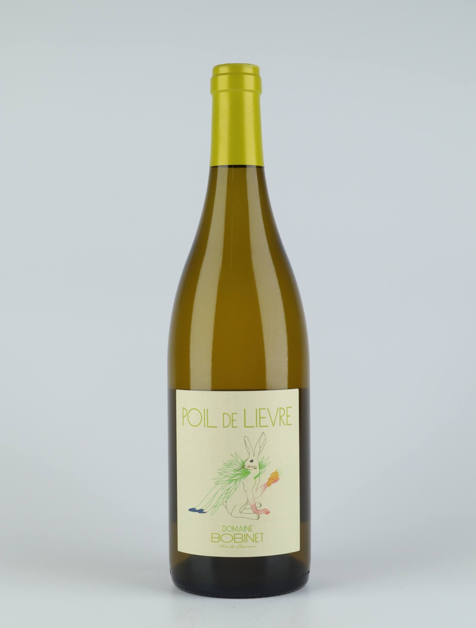 A bottle 2019 Saumur Blanc - Poil de Lièvre Hvidvin from Domaine Bobinet, Loire in Frankrig