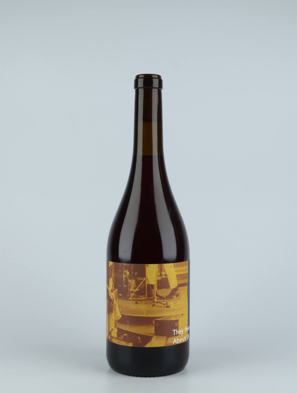 A bottle 2019 They hear about us Rødvin from Ad Vinum, Gard in Frankrig