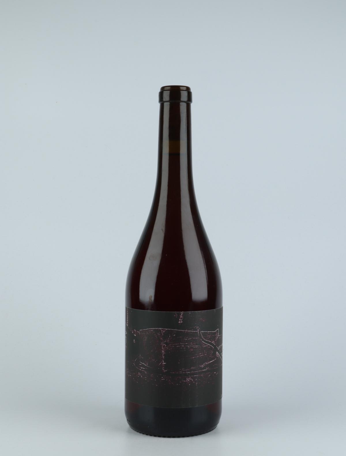 A bottle 2018 Jack Orange vin from Ad Vinum, Gard in Frankrig