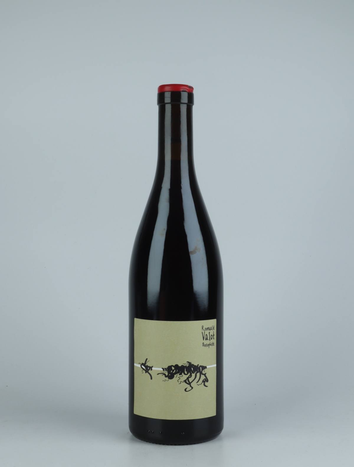A bottle 2019 Cuvée 21550 - Infusion de Pinot Noir Rødvin from Romuald Valot, Beaujolais in Frankrig