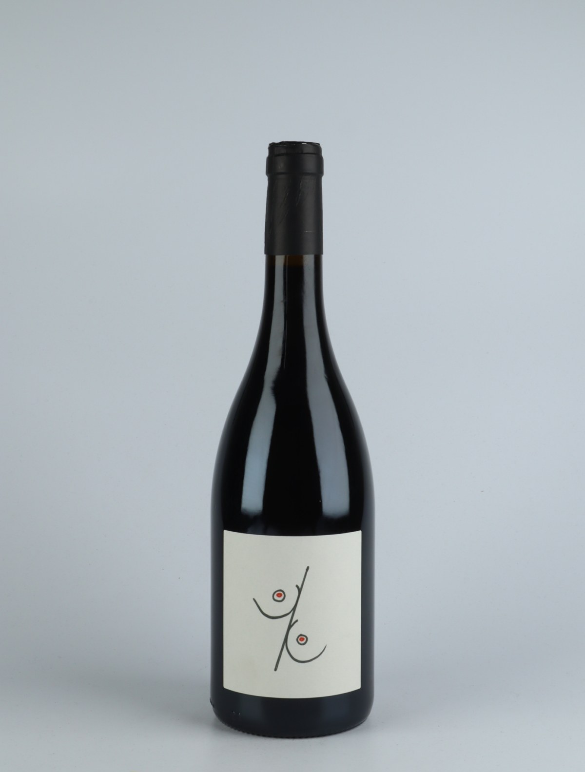 A bottle 2018 Sein pour Sein Rødvin from Patrick Bouju, Auvergne in Frankrig