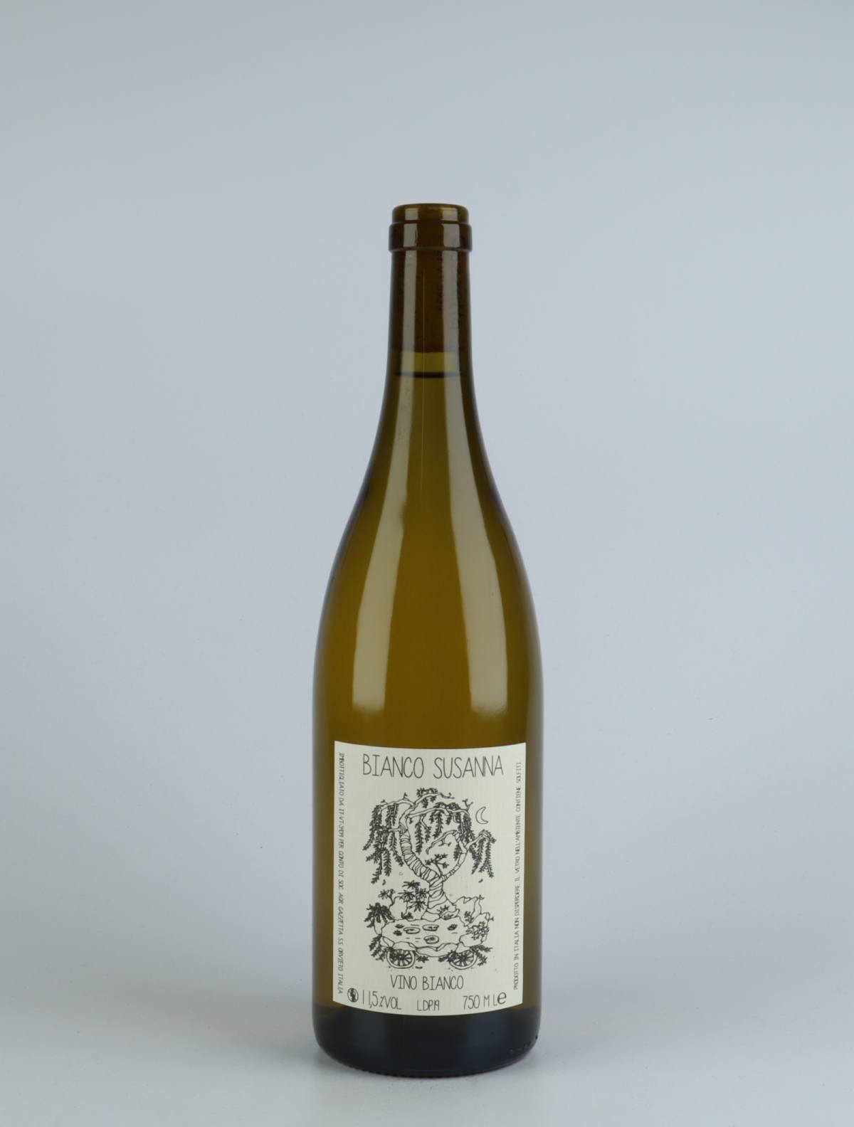 A bottle 2019 Vino Bianco Susanna Hvidvin from Gazzetta, Lazio in Italien