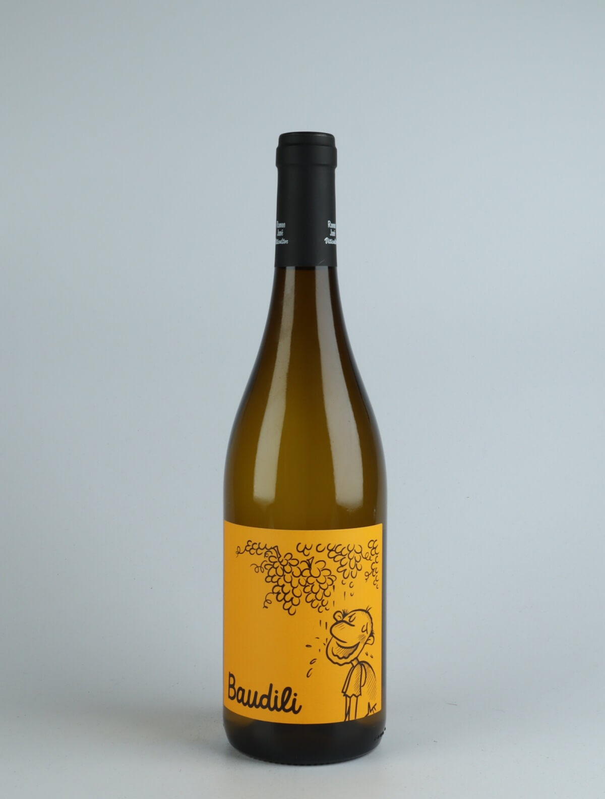 A bottle 2020 Baudili Hvidvin from Mas Candí, Penedès in Spanien