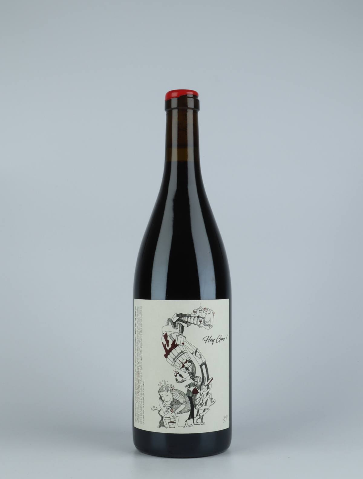 A bottle 2020 Hey Gro!!! Red wine from François Saint-Lô, Loire in France
