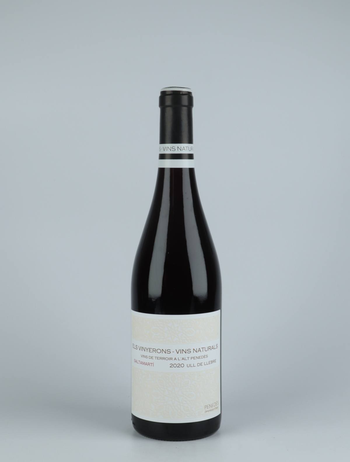 A bottle 2020 Saltamarti Rødvin from Els Vinyerons, Penedès in Spanien