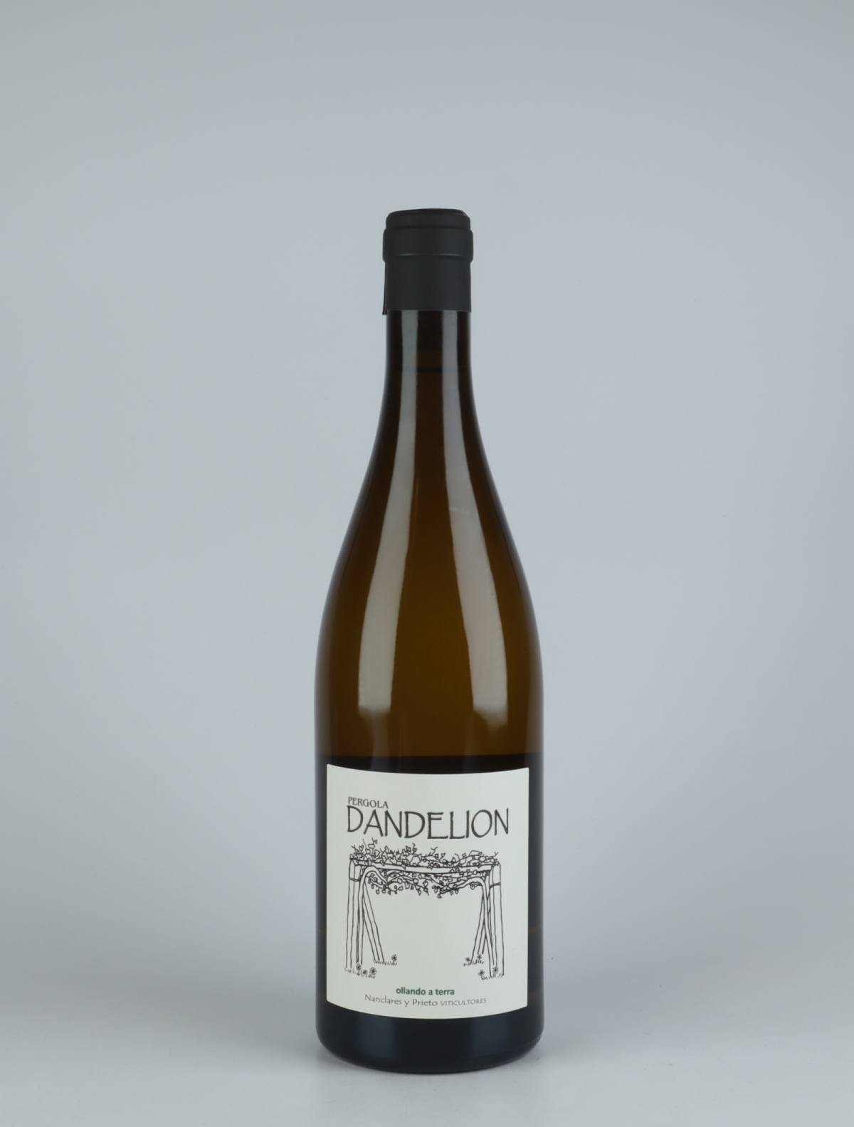 A bottle 2020 Dandelion Hvidvin from Alberto Nanclares, Rias Baixas in Spanien