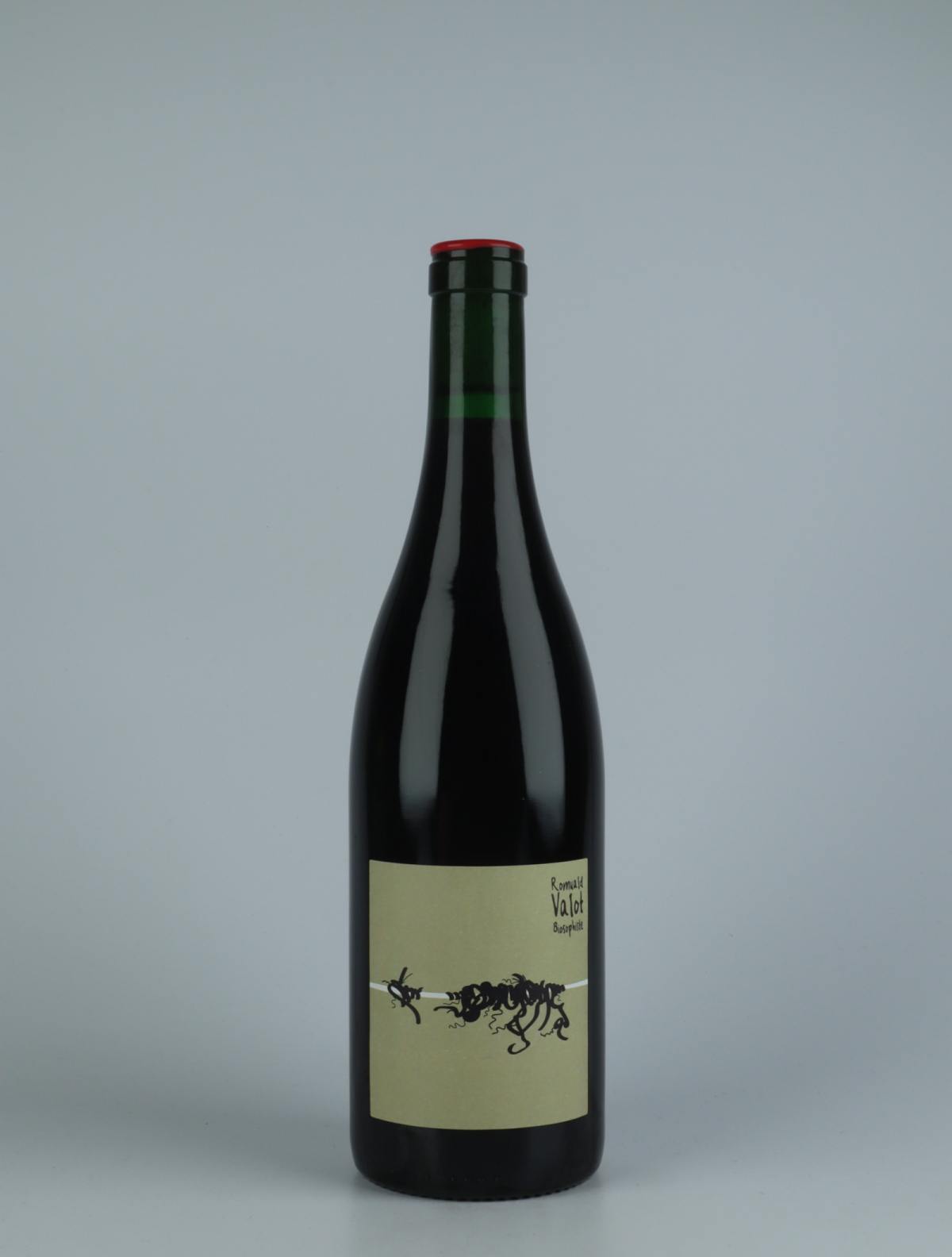A bottle 2020 Cuvée 21550 - Infusion de Pinot Noir Red wine from Romuald Valot, Beaujolais in France