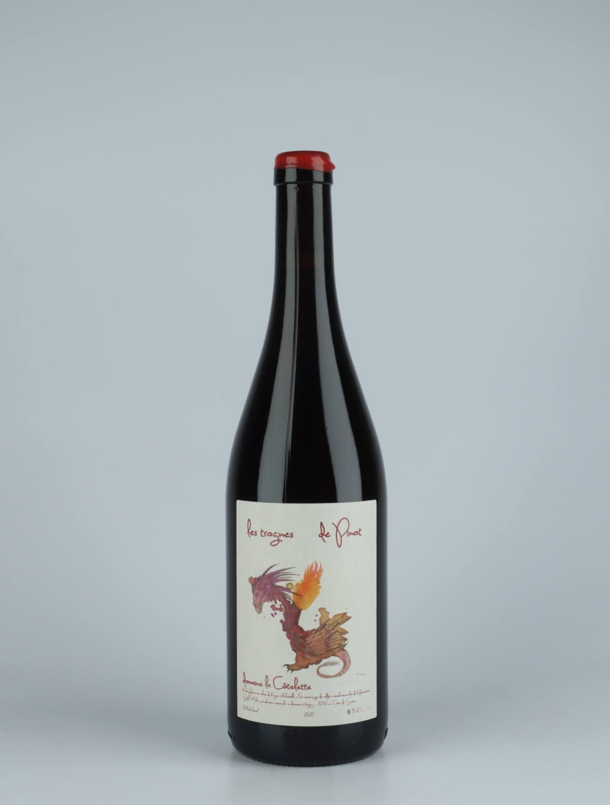 A bottle 2020 Trognes de Pinot Rødvin from Domaine de la Côtelette, Bourgogne in Frankrig