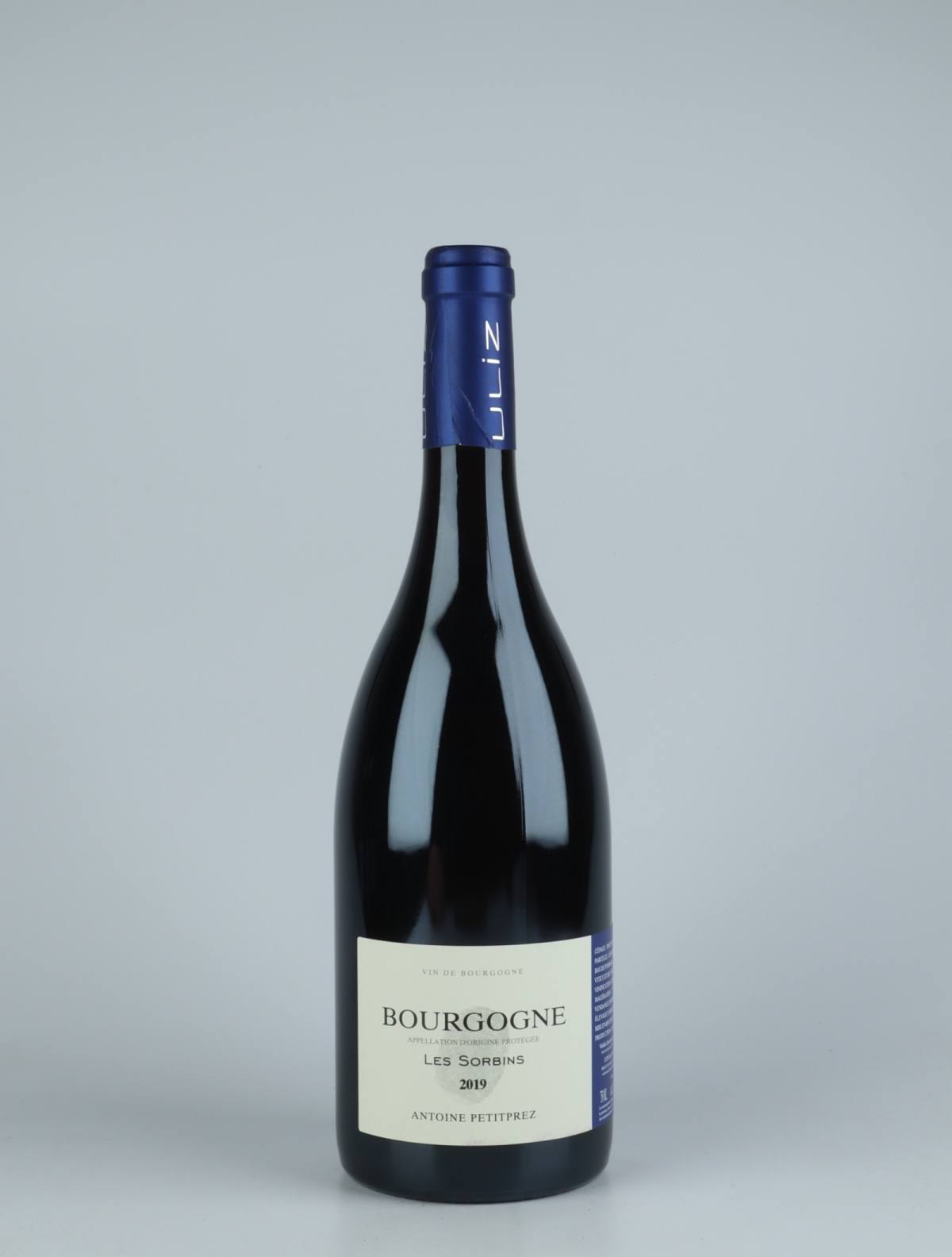 A bottle 2019 Bourgogne Rouge - Les Sorbins Rødvin from Antoine Petitprez, Bourgogne in Frankrig