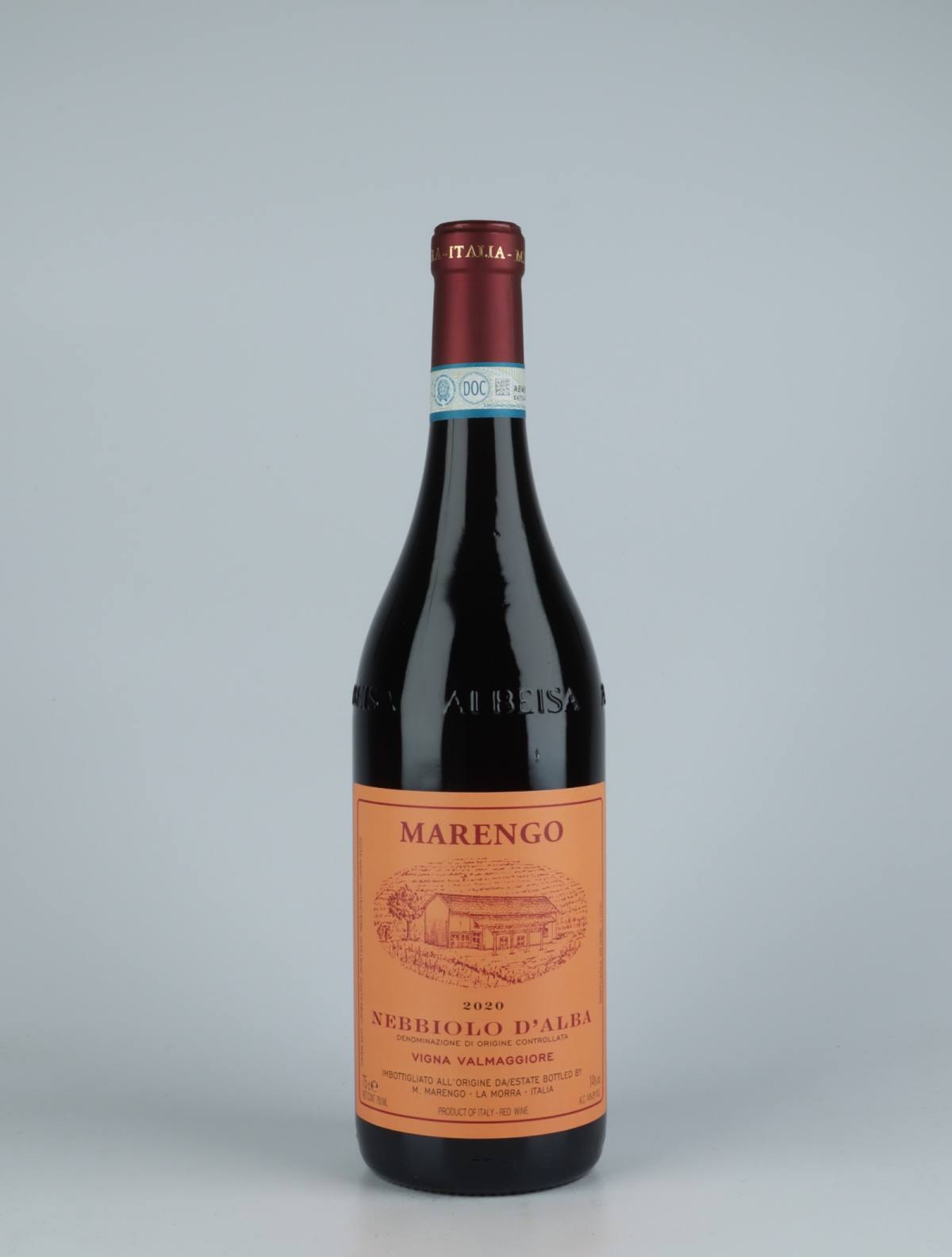 A bottle 2020 Nebbiolo d'Alba - Valmaggiore Rødvin from Mario Marengo, Piemonte in Italien