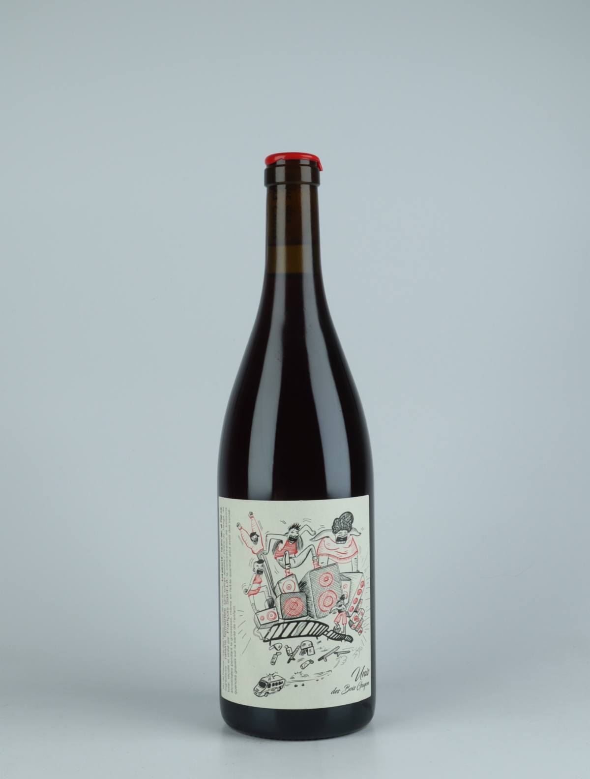 A bottle 2019 Pineau d'Aunis Rødvin from François Saint-Lô, Loire in Frankrig