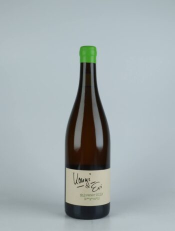 A bottle 2019 Silvaner Ziegental White wine from Konni &amp; Evi, Saale-Unstrut in Germany