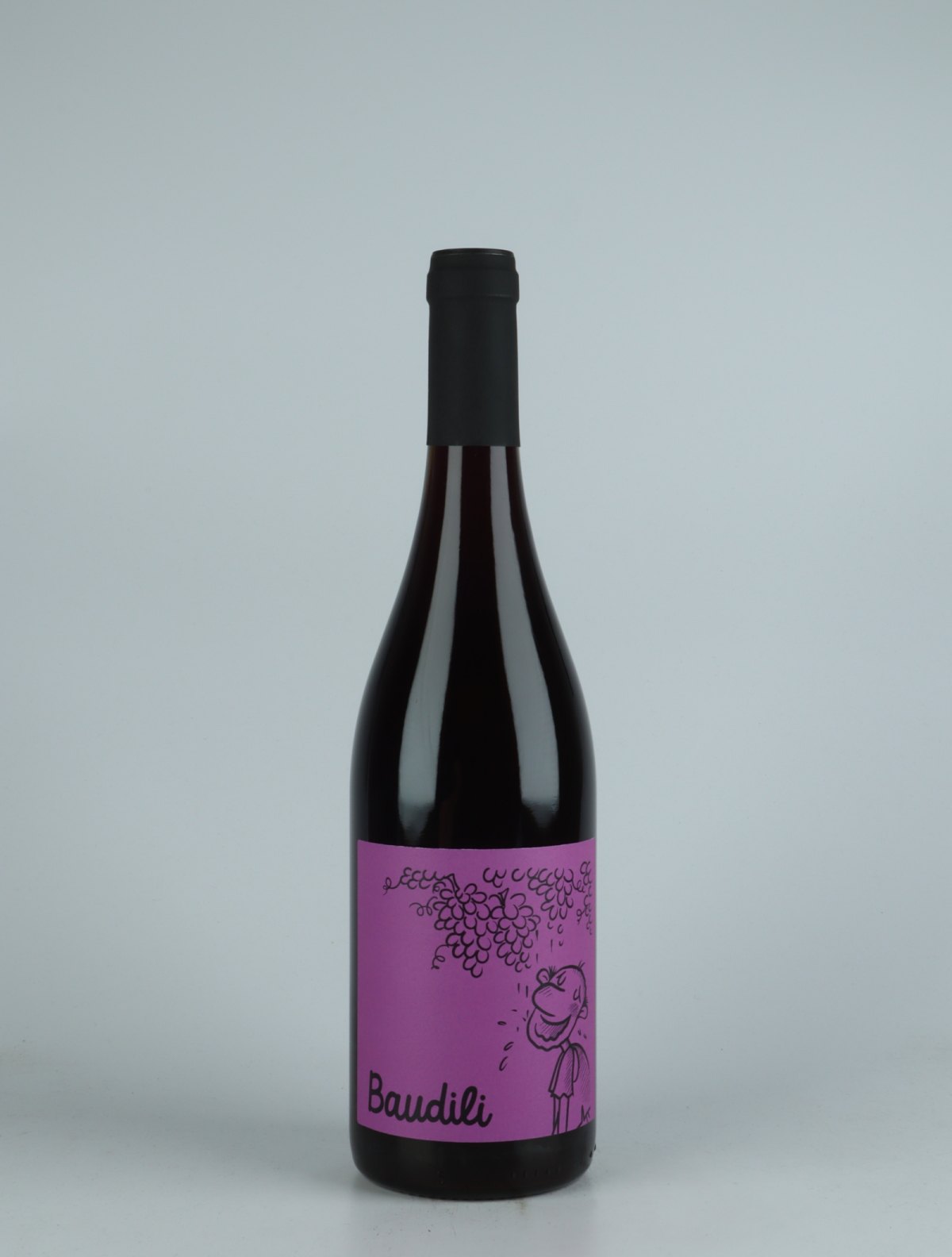 A bottle 2021 Baudili Negre Rødvin from Mas Candí, Penedès in Spanien
