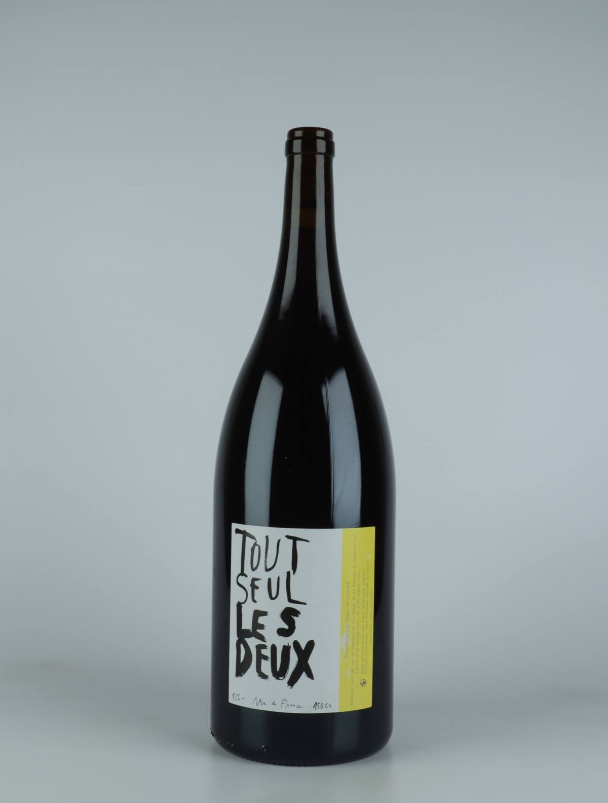 A bottle 2021 Tout seul les deux Red wine from Simon Rouillard, Loire in France