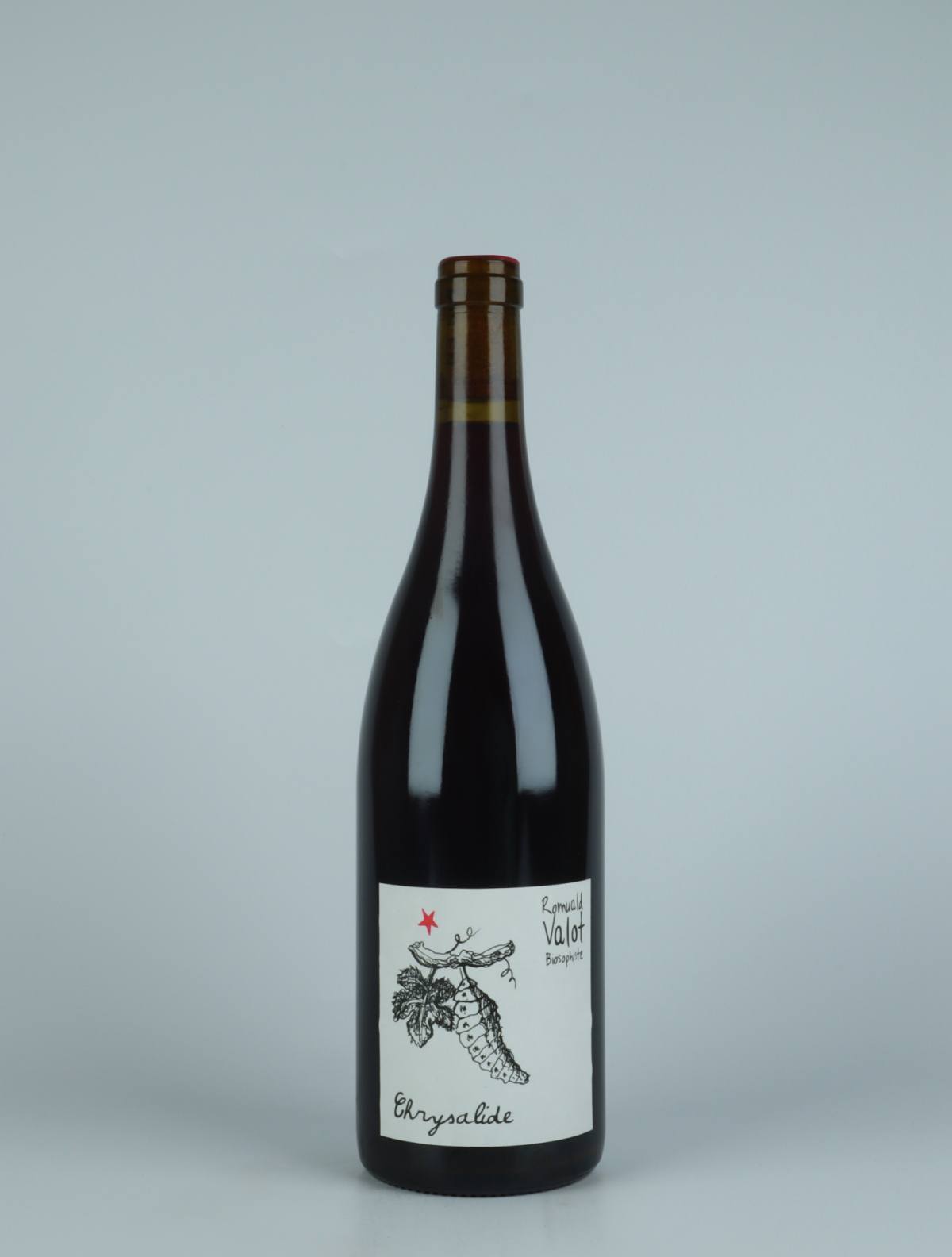 A bottle 2022 Chrysalide Rødvin from Romuald Valot, Beaujolais in Frankrig