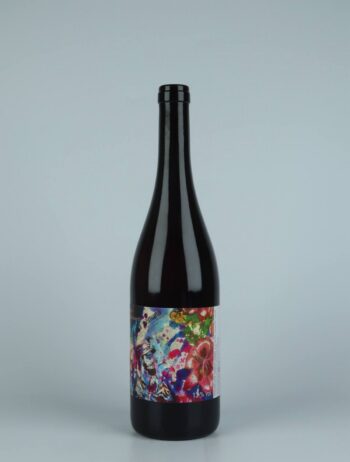 A bottle 2021 Mac PinGuinch' Orange wine from Les Vins du Fab, Neuchâtel in Switzerland