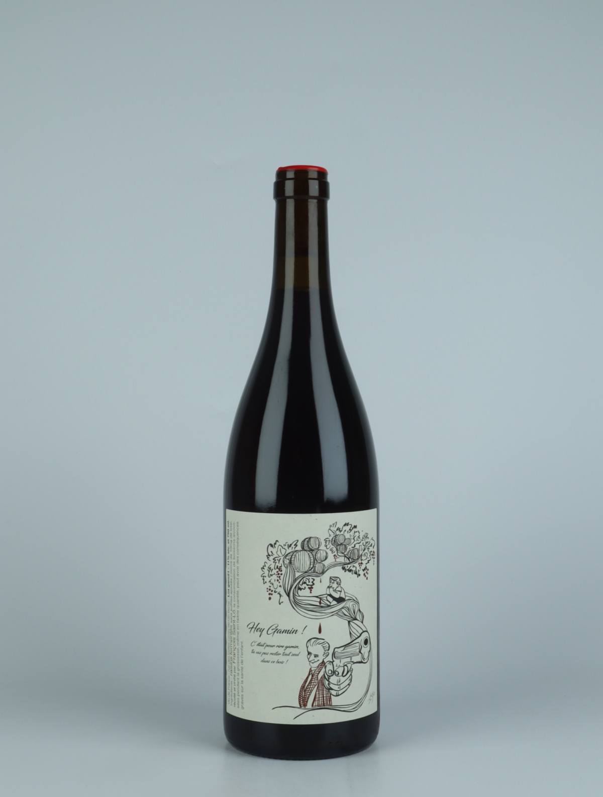 A bottle 2021 Hey Gamin!!! Rødvin from François Saint-Lô, Loire in Frankrig