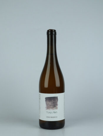 A bottle 2022 Tanca Nica Grigio (Grey label) White wine from Tanca Nica, Sicily in Italy