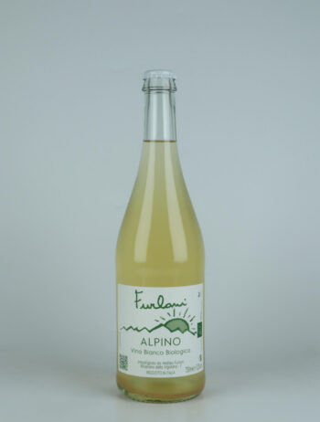 A bottle 2023 Alpino Sparkling from Cantina Furlani, Alto Adige in Italy