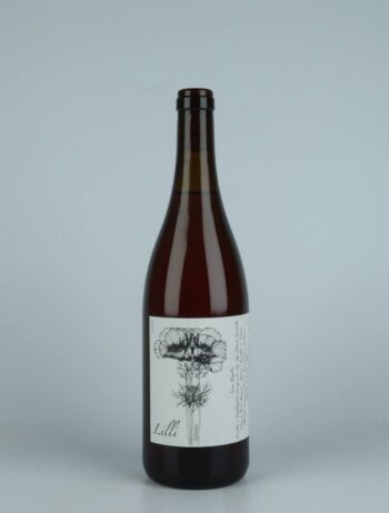 A bottle 2022 Lilli Rosé from Edoardo Sacchetto, Veneto in Italy