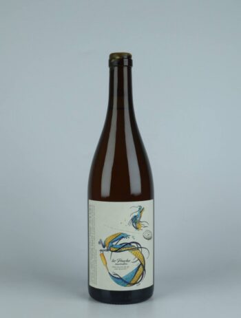 A bottle 2021 Les Pouches Macération White wine from François Saint-Lô, Loire in France