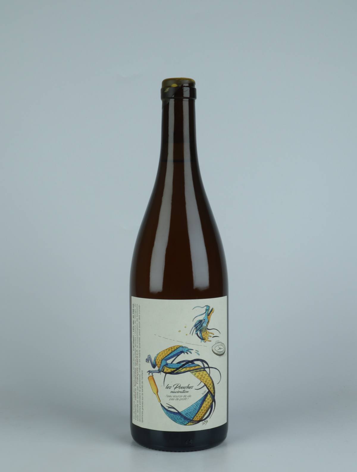 A bottle 2021 Les Pouches Macération White wine from François Saint-Lô, Loire in France