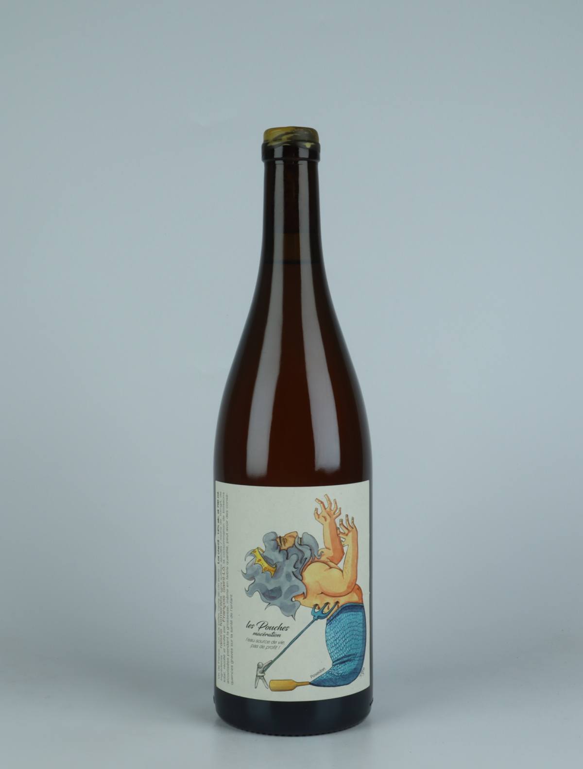 A bottle 2019 Les Pouches Macération Hvidvin from François Saint-Lô, Loire in Frankrig