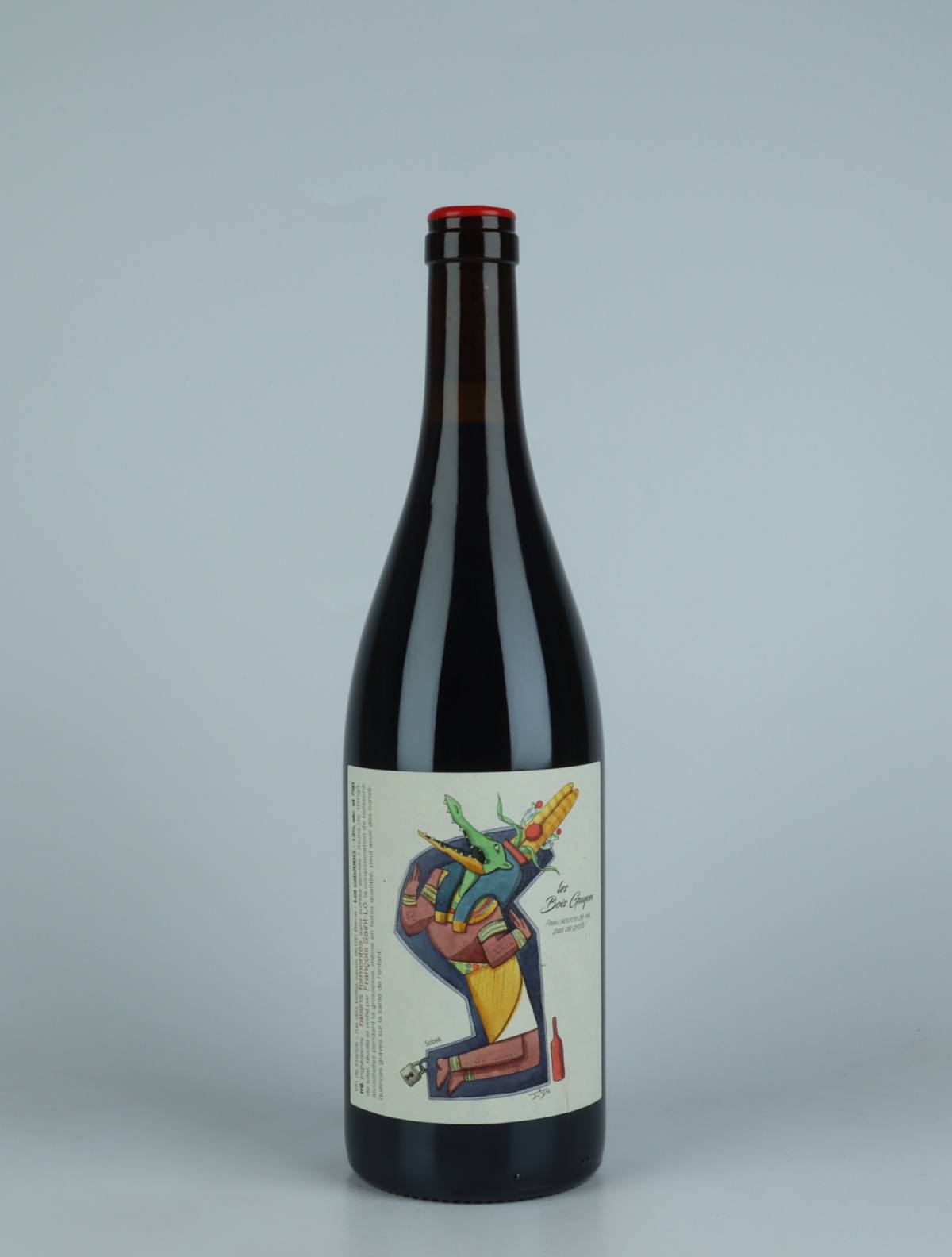 A bottle 2020 Les Bois Guyon Rødvin from François Saint-Lô, Loire in Frankrig