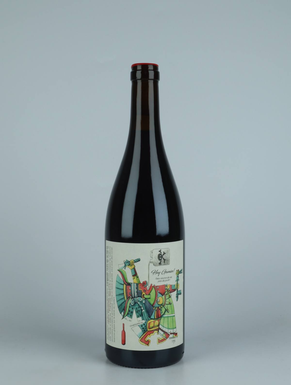 A bottle 2022 Hey Gamin! Red wine from François Saint-Lô, Loire in France