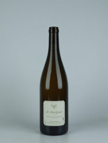 A bottle 2022 Muscat sec White wine from Le Petit Domaine de Gimios, Roussillon in France