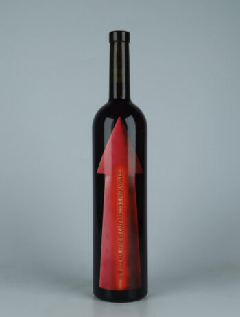 A bottle 2023 Serragghia Fanino Red wine from Gabrio Bini, Sicily in Italy
